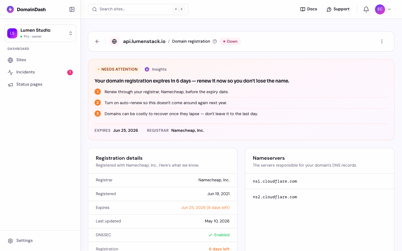 The Registration page for a domain expiring soon, showing an Insights summary with renewal steps